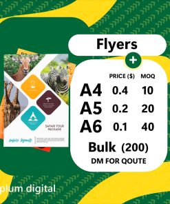 Flyers